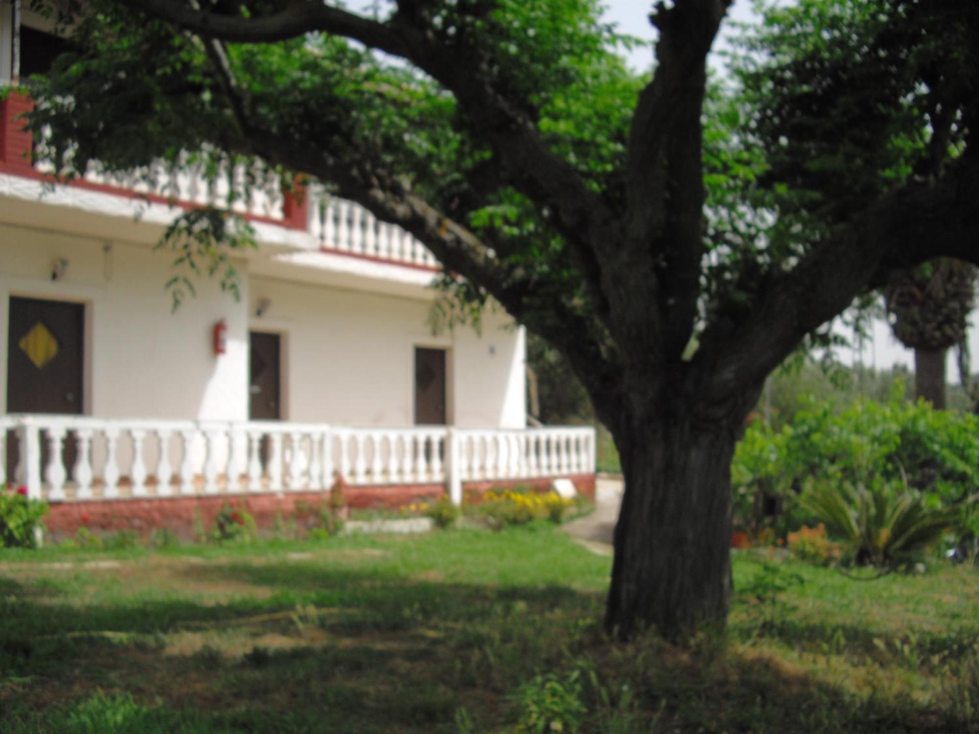 Corfu Country House Vitaládes Quarto foto